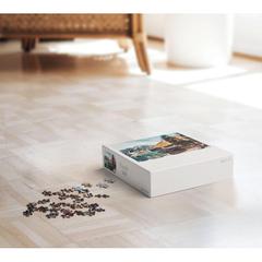 Vue Puzzle de 500 pièces en boîte - Pazz de couleur -| Krokrodeal
