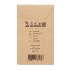 Vue Graines de tournesol - Girasol de couleur marron| Krokrodeal