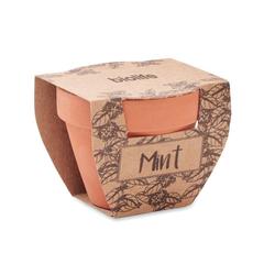 Vue Pot avec graines de menthe - Mint pot de couleur marron| Krokrodeal