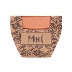 Vue Pot avec graines de menthe - Mint pot de couleur marron| Krokrodeal