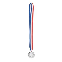 Vue Médaille 5cm de diamètre - Winner de couleur gris| Krokrodeal