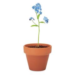Vue Pot graines de myosotis - Forget me not de couleur marron| Krokrodeal