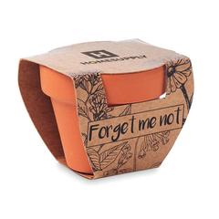 Vue Pot graines de myosotis - Forget me not de couleur marron| Krokrodeal