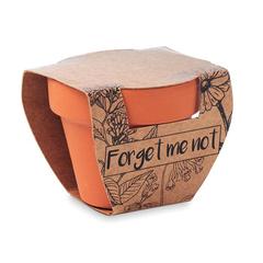 Vue Pot graines de myosotis - Forget me not de couleur marron| Krokrodeal