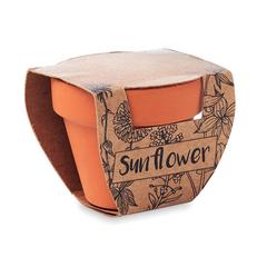 Vue Pot graines de tournesol - Sunflower de couleur marron| Krokrodeal