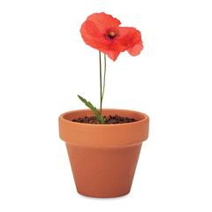 Vue Pot graines de coquelicot - Red poppy de couleur marron| Krokrodeal