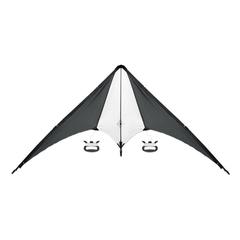 Vue Cerf-volant en polyester - Fly away de couleur noir| Krokrodeal