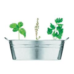 Vue Bac en zinc & herbes aromatique - Mix seeds de couleur gris| Krokrodeal