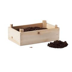 Vue Graines de tomates dans caisset - Tomato de couleur marron| Krokrodeal