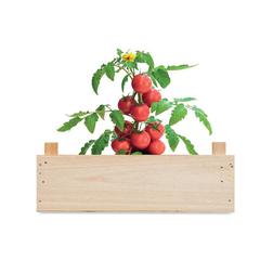 Vue Graines de tomates dans caisset - Tomato de couleur marron| Krokrodeal