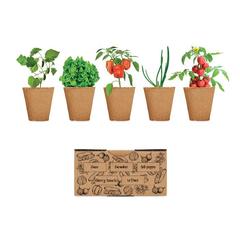 Vue Kit de culture de salade - Salad de couleur marron| Krokrodeal