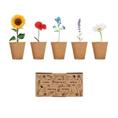 Vue Kit de culture de fleurs - Flowers de couleur marron| Krokrodeal