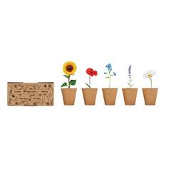 Vue Kit de culture de fleurs - Flowers de couleur marron| Krokrodeal