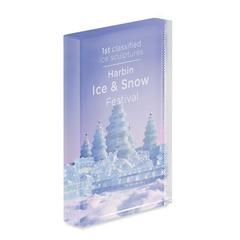 Vue Cadre Trophée en cristal - Blo de couleur blanc| Krokrodeal