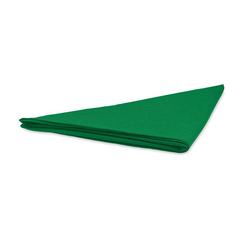 Vue Foulard multifonctions Poly Cot - Bandido de couleur vert| Krokrodeal