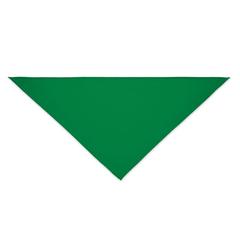 Vue Foulard multifonctions Poly Cot - Bandido de couleur vert| Krokrodeal