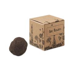 Vue Bombe graines fleurs d'abeille - Bombi ii de couleur marron| Krokrodeal