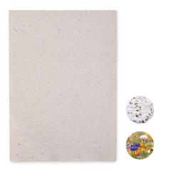 Vue Papier A4 graines de fleurs - Asidi de couleur blanc| Krokrodeal