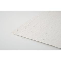 Vue Papier A4 graines de fleurs - Asidi de couleur blanc| Krokrodeal