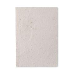 Vue Papier A5 graines de fleurs - Aside de couleur blanc| Krokrodeal