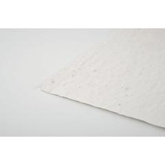 Vue Papier A5 graines de fleurs - Aside de couleur blanc| Krokrodeal