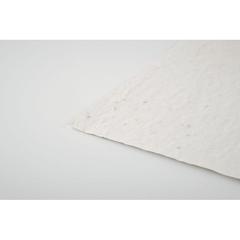 Vue Papier A6 graines de fleurs - Asido de couleur blanc| Krokrodeal