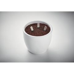 Vue Bâtons de graines d'herbes - Leyti de couleur marron| Krokrodeal