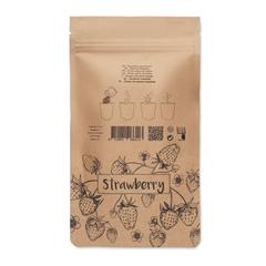 Vue Kit de culture de fraises - Fresa kit de couleur marron| Krokrodeal