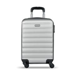 Vue Trolley rigide - Budapest de couleur gris| Krokrodeal