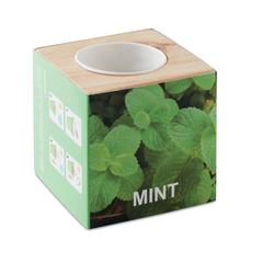 Vue Pot en bois avec graine Menthe - Menta de couleur marron| Krokrodeal