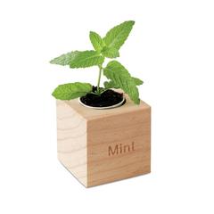 Vue Pot en bois avec graine Menthe - Menta de couleur marron| Krokrodeal