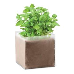Vue Substrat avec graines Basilic. - Basil de couleur marron| Krokrodeal