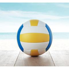 Vue Ballon de volley - Volley de couleur -| Krokrodeal