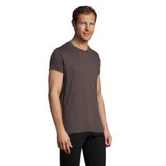 Vue REGENT F MEN T-SHIRT 150g - Regent fit de couleur gris| Krokrodeal