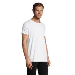 Vue REGENT F MEN T-SHIRT 150g - Regent fit de couleur blanc| Krokrodeal