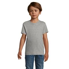 Vue REGENT F KIDS T-SHIRT 150g - Regent fit kids de couleur gris| Krokrodeal
