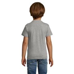 Vue REGENT F KIDS T-SHIRT 150g - Regent fit kids de couleur gris| Krokrodeal
