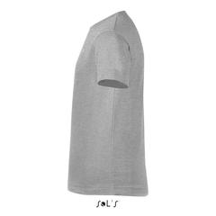 Vue REGENT F KIDS T-SHIRT 150g - Regent fit kids de couleur gris| Krokrodeal