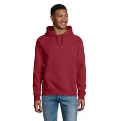 Vue STELLAR Sweat Capuche - Stellar de couleur marron| Krokrodeal