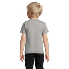 Vue CRUSADER KIDS T-SHIRT BIO - Crusader kids de couleur gris| Krokrodeal
