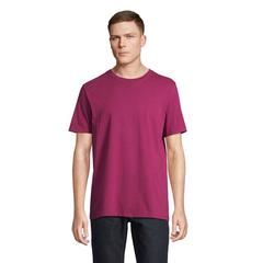Vue LEGEND T-Shirt Bio 175g - Legend de couleur violet| Krokrodeal