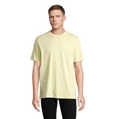Vue LEGEND T-Shirt Bio 175g - Legend de couleur jaune| Krokrodeal