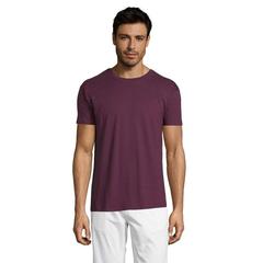 Vue REGENT T-Shirt 150g - Regent de couleur marron| Krokrodeal
