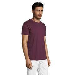 Vue REGENT T-Shirt 150g - Regent de couleur marron| Krokrodeal