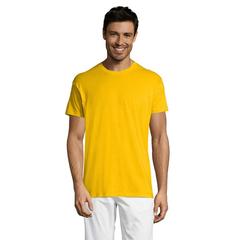 Vue REGENT T-Shirt 150g - Regent de couleur jaune| Krokrodeal