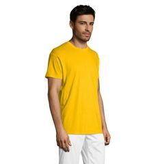 Vue REGENT T-Shirt 150g - Regent de couleur jaune| Krokrodeal