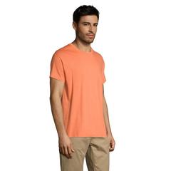 Vue REGENT T-Shirt 150g - Regent de couleur orange| Krokrodeal