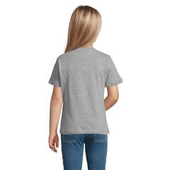 Vue REGENT KIDS T-SHIRT 150g - Regent kids de couleur gris| Krokrodeal