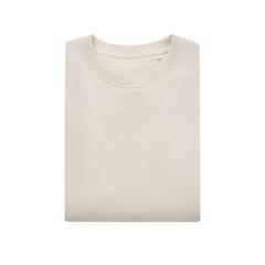 Vue Sweater à col rond en coton recyclé Iqoniq Kruger de couleur beige| Krokrodeal