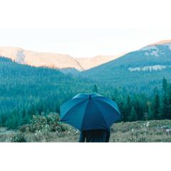 Vue Parapluie 25"ultra-léger et manuel Swiss Peak Aware™ de couleur noir| Krokrodeal
